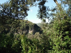 Paesaggio dal sentiero