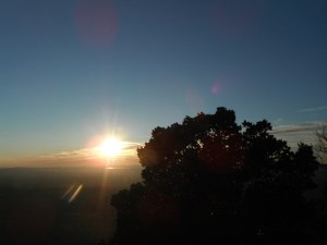 DSCF1974