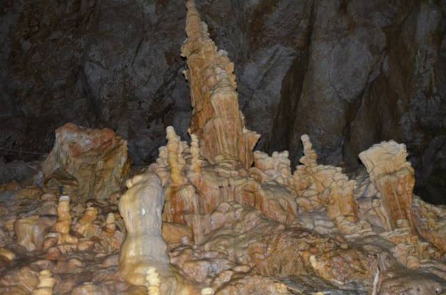 1001512_10201371060387703_856574911_n