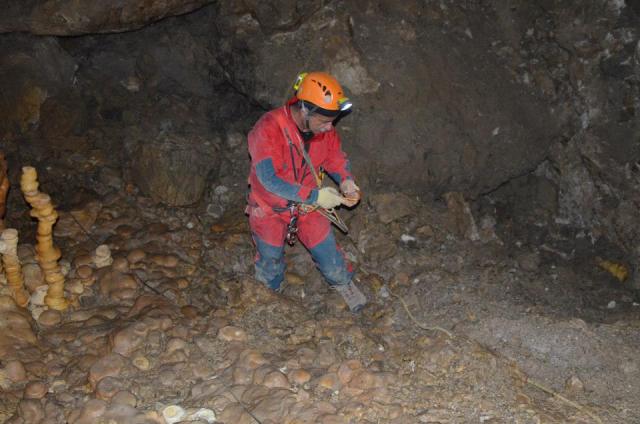 1003978_10201371145349827_1939922829_n