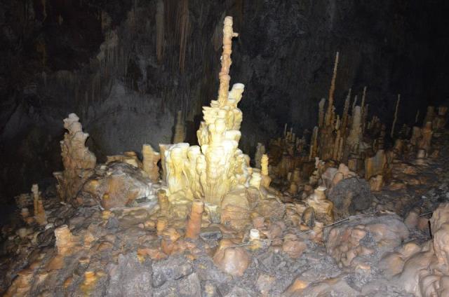 1010637_10201371036387103_537179128_n