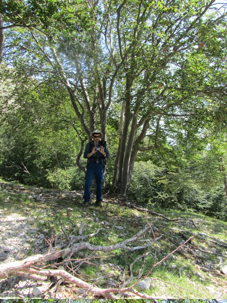 27028robertoscavallo