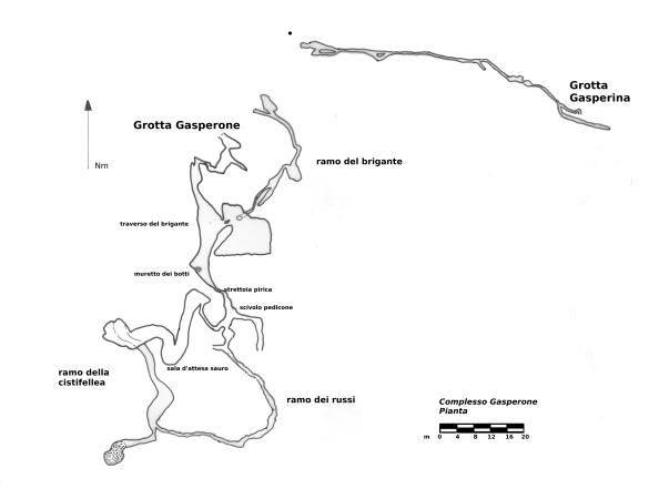 thumb_piantagasperonev3