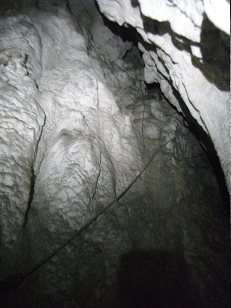 020SostaRamoBrigante