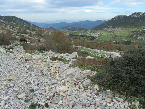 080panoramainizio