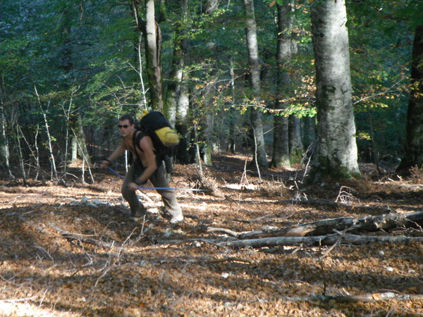 150cristiantraalberi