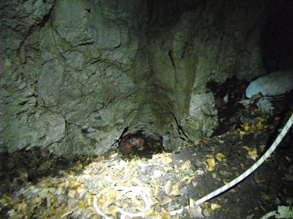 330marcouscitastrettoia