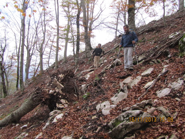 380margiualberocrollato