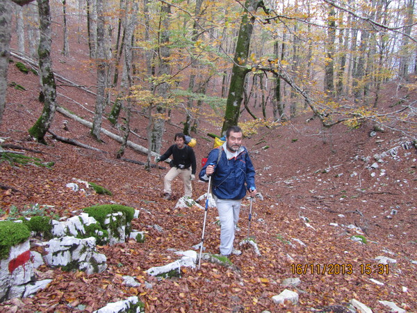 440margiucambiolatocanalone