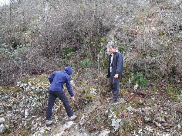 480emanuelescavasorgente