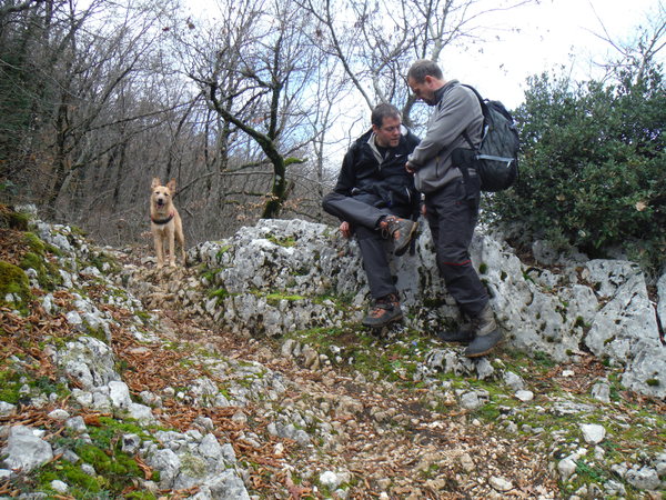 550cristiansalvatore