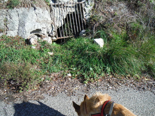 570ingressomontepiccolo